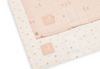 Multidoek Jollein Hydrofiel 115x115 Pretty Picnic 3-pack